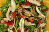 Roasted Fennel Salad by Stony Brook Caterer